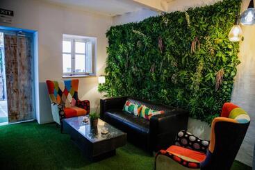 هتل Hostal The Monkey Room