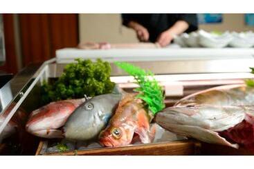 هتل Yunohama Onsen Hanayubi Nihonkai   Vacation Stay 67567v