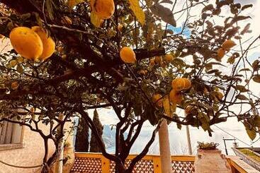 تختخواب و صبحانه Villa Barluzzi