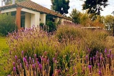 تختخواب و صبحانه Boutique Casona Oriente