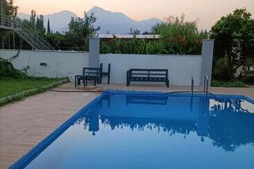 تختخواب و صبحانه Holistic Balance