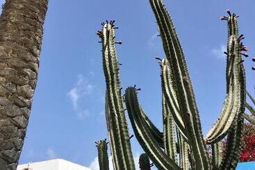 پانسیون Casa Cactus