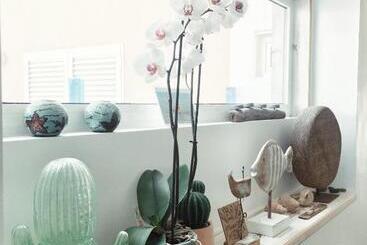 پانسیون Casa Cactus
