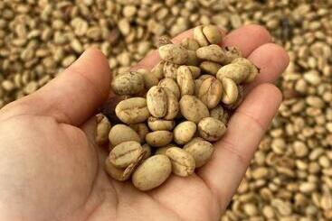 هتل La Perla Finca