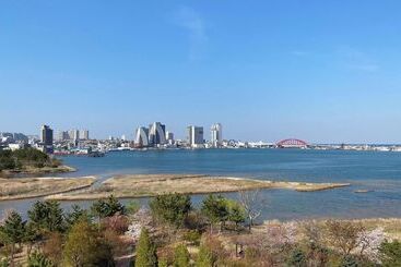 مُتل Sokcho Dragonfly