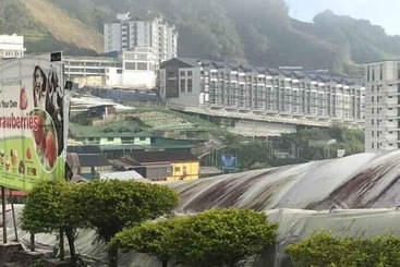 هتل Cameron Kea Farm