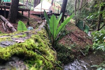 هتل Glamping Rio Valle De Bravo