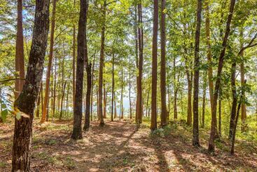 Luxury Lakefront Retreat W/ Deck & Patio!