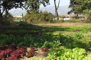 酒店 Corbett Life Resort