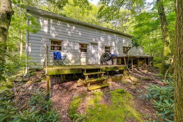 Serene Centre Hall Cabin W/ Stream On Site!