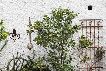 Hotel Caffè Dell Arte Boutique Rooms Locarno