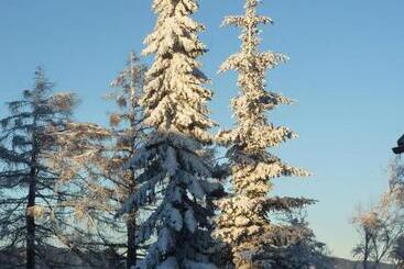 هتل Der Löffler Am Semmering Bed&breakfast
