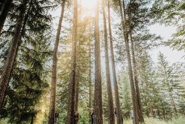 هتل Der Löffler Am Semmering Bed&breakfast