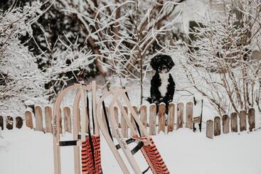 هتل Der Löffler Am Semmering Bed&breakfast