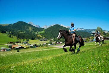 هتل Wohlfühlresort Und Feriengut Martinerhof