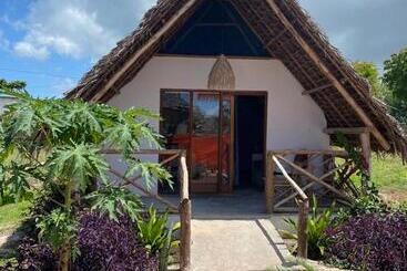 تختخواب و صبحانه Kokopelli Bungalows