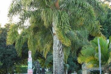 پانسیون Hollywood Guesthouse