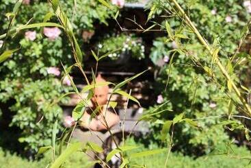 تختخواب و صبحانه De Tuinkamer