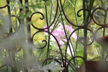 تختخواب و صبحانه De Tuinkamer