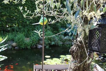 تختخواب و صبحانه De Tuinkamer