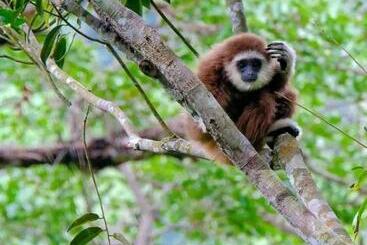 تختخواب و صبحانه Eco Trekking Lodge Bar & Tour S