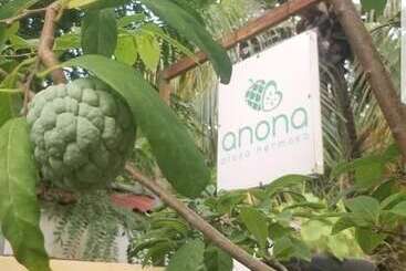 Anona Guesthouse
