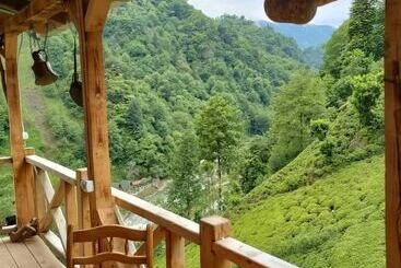 هتل Purkinora Bungalov