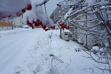 پانسیون Arctic Rooms Rektor