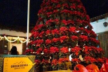 فندق Bugamvillas Tapalpa