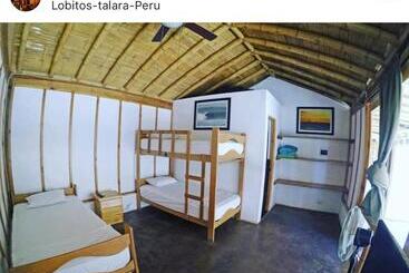 هاستل Lobitos Eco Lodge
