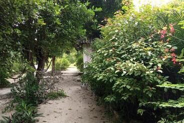تختخواب و صبحانه Bwejuu Garden View Bungalows