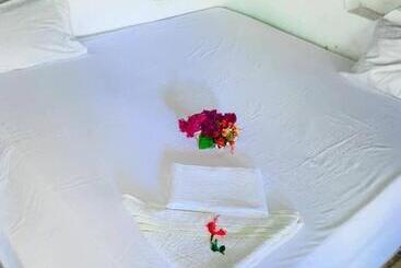 تختخواب و صبحانه Bwejuu Garden View Bungalows