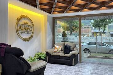 هتل El Alamo, Ejecutivo Y Spa