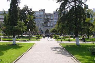 Samsun Otel Vidinli