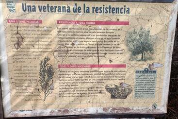 Apartamentos Rurales Fuente Del Peral