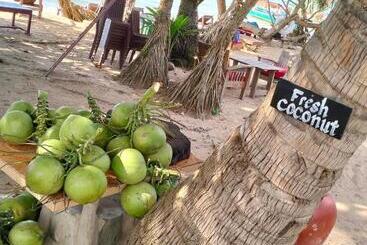 تختخواب و صبحانه Fat Rabbit Beach Resort