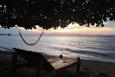 تختخواب و صبحانه Fat Rabbit Beach Resort