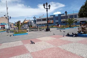 پانسیون Hospedaje Las. Flores Puno