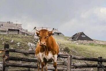 تختخواب و صبحانه Domžalski Dom Na Veliki Planini