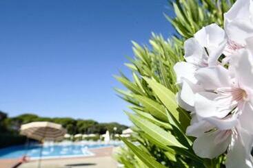 Isa Apartments 2 Beds In Residence With Swimming Pool In San Vincenzo, Just 600 Meters From The Sea