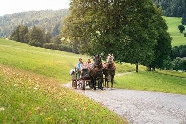 Das Hopfgarten Familotel Tirol