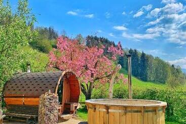 هتل Garni Wieshof
