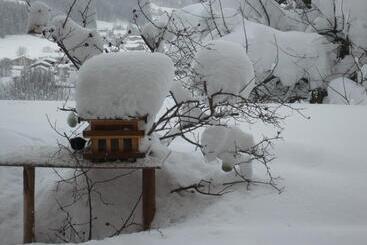 هتل Garni Wieshof