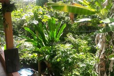 تختخواب و صبحانه Casa 262