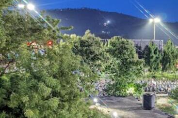 هتل Solan Rourkela