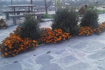 پانسیون Green House