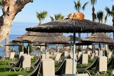 استراحتگاه Elysium Cyprus Retreat