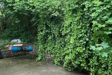 پانسیون Hostal Pelluco
