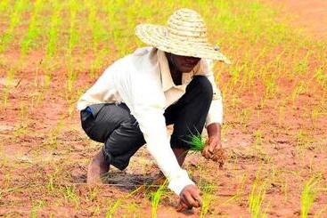 هتل Plaisirs Campagnards De Glo Djgbé