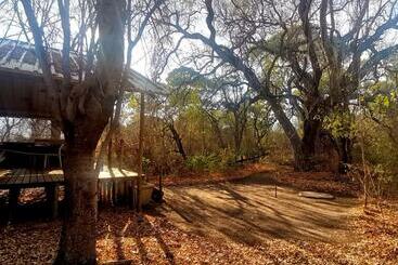 هتل The Tshilli Farm & Lodge